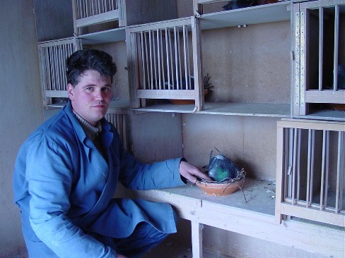 Harold ds lecolombier